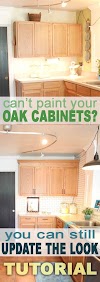 Upgrade Kitchen Oak Cabinets