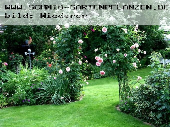 ich wünsche dir alles gute und liebe zum geburtstag