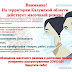 Масочный Режим / Мы сделали интерактивную карту регионов, свободных .