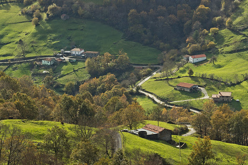 Alisas