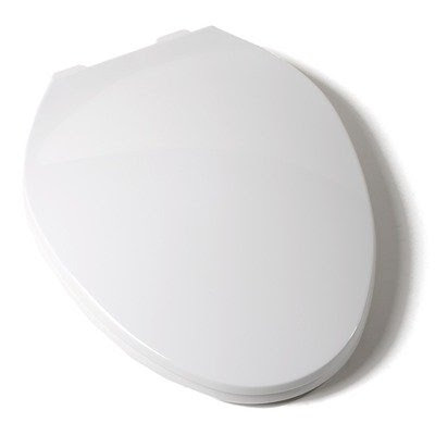 Deluxe Plastic Elongated Contemporary Toilet Seat Finish: Silver