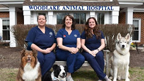 Expert Veterinary Care at Woodlake Animal Hospital in Midlothian, VA - Your Pet's Health is Our Top Priority!