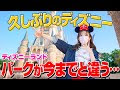 √100以上 オールスター 感謝 祭 ディズニー 481950