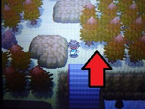 隠し穴隠し穴の場所と出現ポケモン ポケモンbw2攻略ga Mo