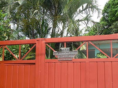 tuxla, ambiance tropicale.jpg