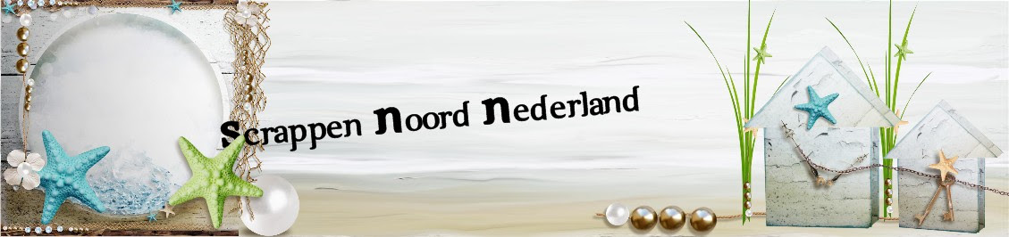 Forum voor Noordelingen