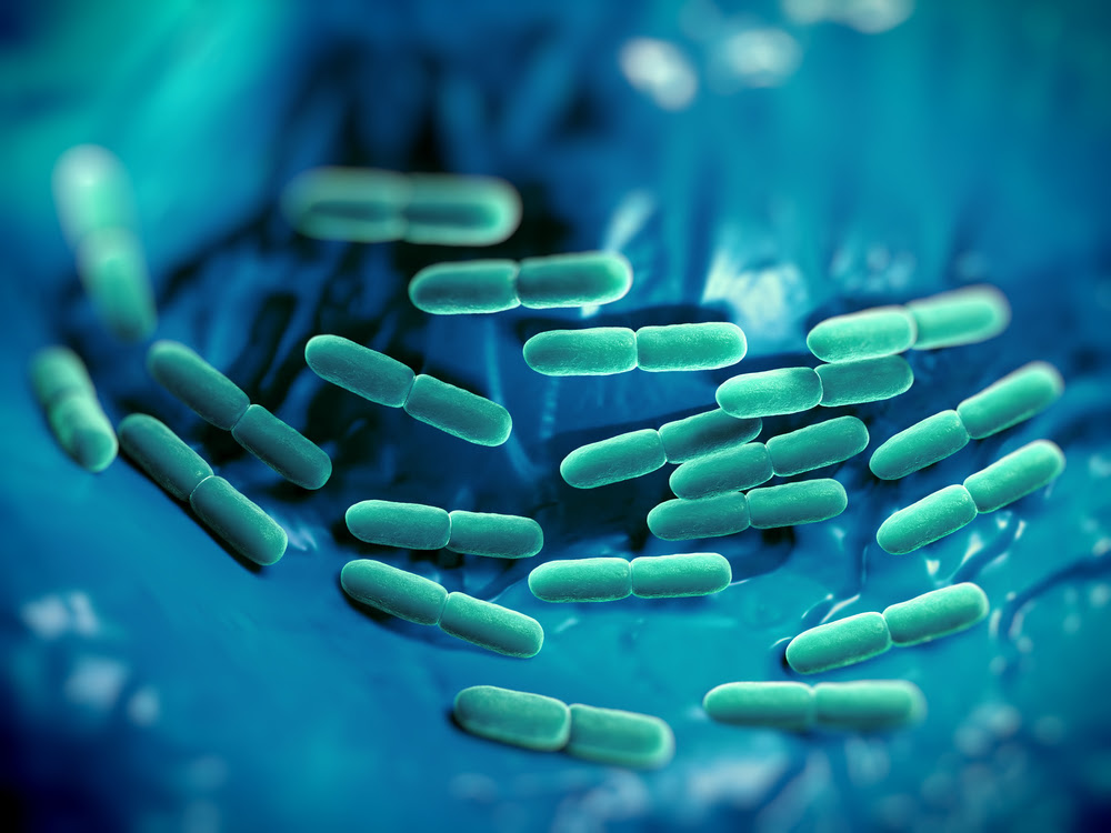 Lactic Acid Bacteria - Lactic AciD Bacteria
