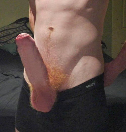 foros gay. colorados