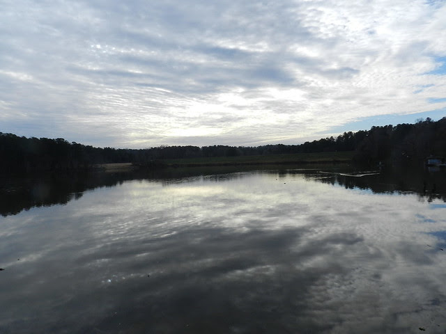 skywatfDSCN0295