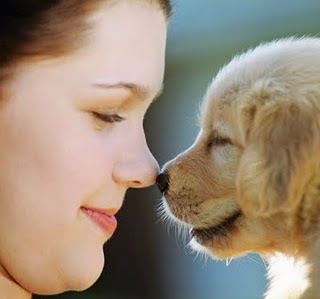 Dogs human best friend | Dog Obedience Training , Puppies Training ...