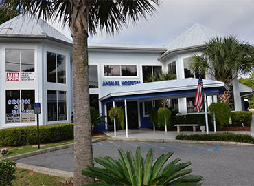 animal hospital of pensacola Pensacola brentwood hospital animal fl