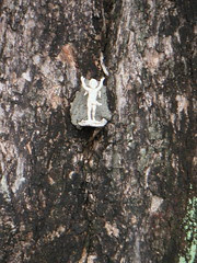 PICT0044