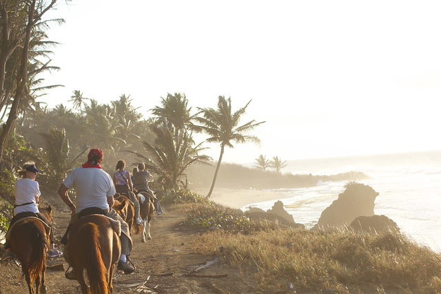 Horseback Riding Puerto Rico