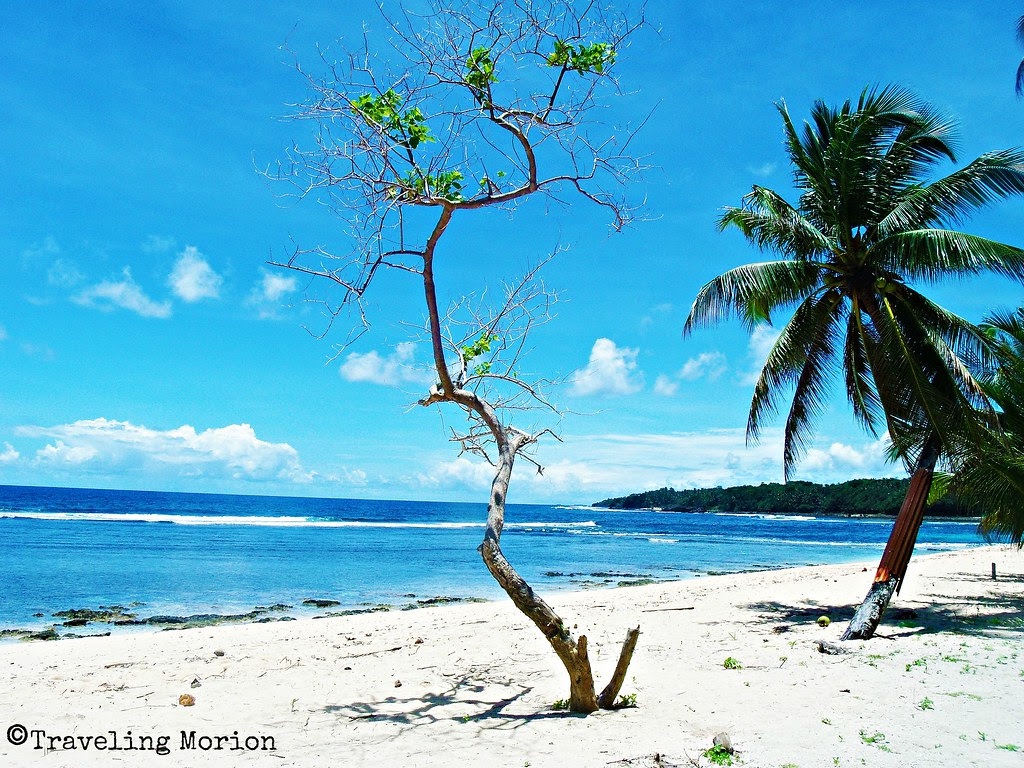 Pacifico Beach