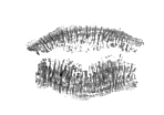 Profile Graphics