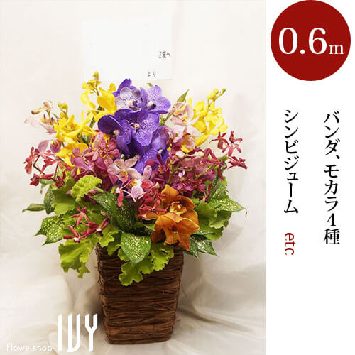 アレンジメント バンダ モカラ4種 シンビジューム他 新宿 花屋 Flowershopivy
