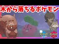 √ ポケモン 落ちる 743535-ポケモン 落ちる バグ