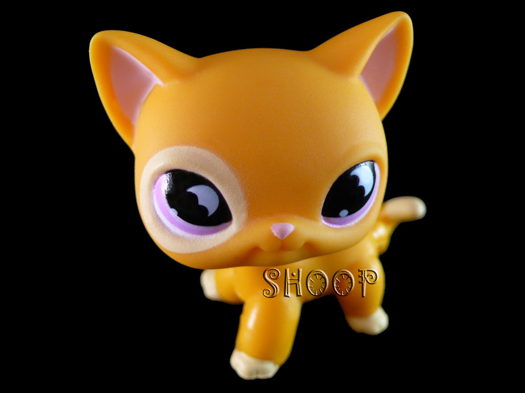 European Petshop Shoop