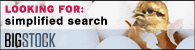 Stock Photos, Royalty Free Stock Photography, Photo Search