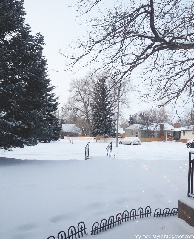 Snow Front Yard