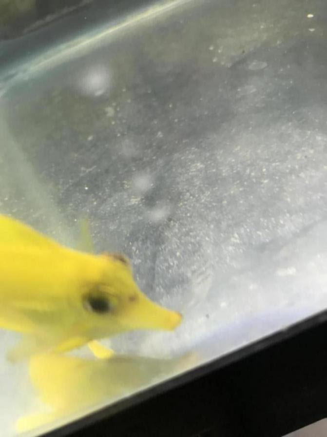 Click image for larger version Name: 820287BC-E79E-4CFC-A233-5DE9BF2F3540_1509230689449.jpeg Views: N/A Size: 610.4 KB ID: 164897