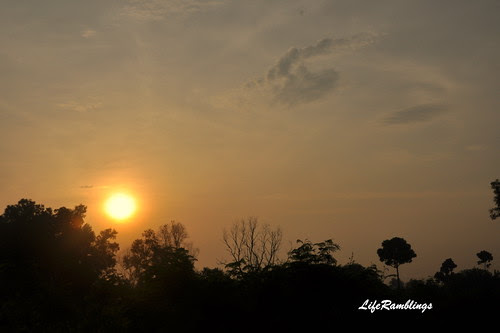 DSC_6450