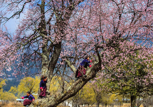 Cảnh thanh bình đất nước Bhutan. Ảnh: Nguyễn Thanh Hải
