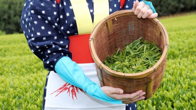 ドラマ ゆるキャン ロケ地 聖地 どこ 福原遥が感動した静岡の絶景初日の出スポット カパりんブログ