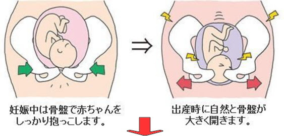 産後骨盤矯正の整体院 尿もれと恥骨痛対応で実績と信頼 盛岡整体 観身堂 は滝沢で開院31年本格派の老舗