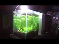 ベタ 水槽 レイアウト シンプル 121623-ベタ 水槽 レイ��ウト シンプル