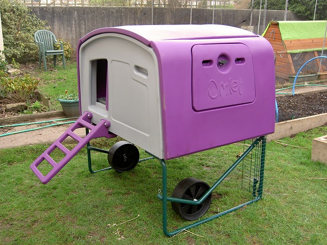 Different Types Of Backyard Chicken Coops | The Poultry Guide