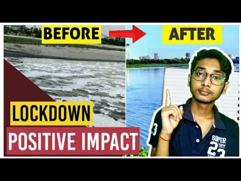 Positive Impact Of Lockdown Corona Virus On Nature | Explained By The Fact Plaza ||Bengali||