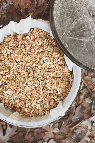 apple crisp in dutch oven