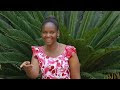 MALANGO KIBIBLIA 