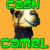 cash camel logo photo