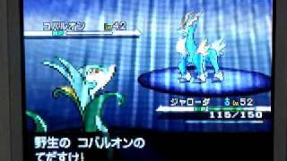 ポケモンｂ Vsコバルオン Inフキヨセのほらあな Youtube
