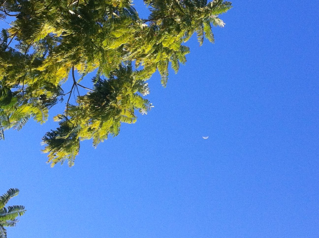 Moon Waxing