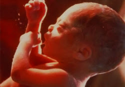 35e Semaine De Coaching Grossesse Comment Va Bebe En 35eme Semaine De Grossesse Aujourdhui Com