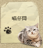 歡迎光臨喵仔間工作室