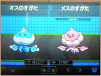 ブルンゲル 色違い 無料のぬりえ