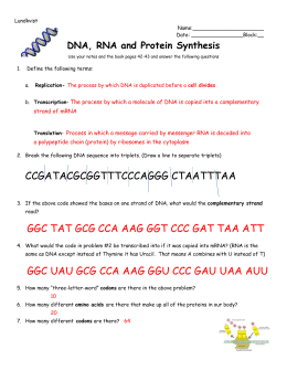 Worksheet: DNA, RNA, and Protein Synthesis
