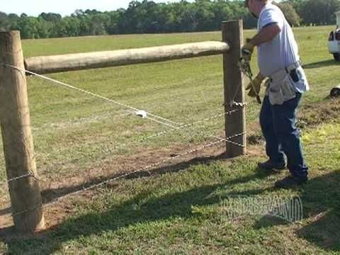 CATTLE FENCING GALLERY - FENCE|FENCES|FENCING|ELECTRIC