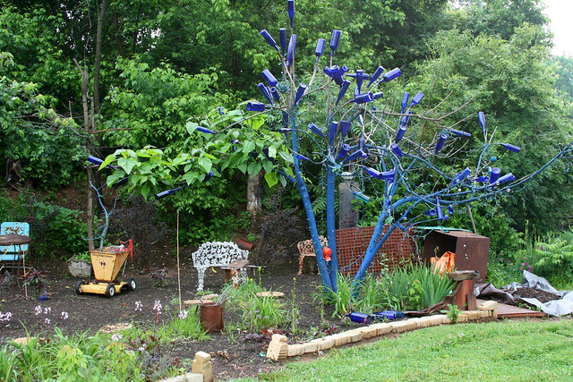 5blue_bottle_tree