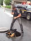 New York prison Shawshank escapees search continues in sewers.