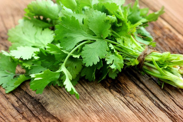 Let's talk about coriander AKA Cilantro, the weeds of Satan, lettuce of the damned, green death…