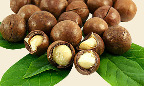Hạt mắc ca hết thời sốt giá