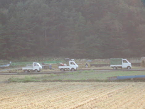 photo38-4.jpg