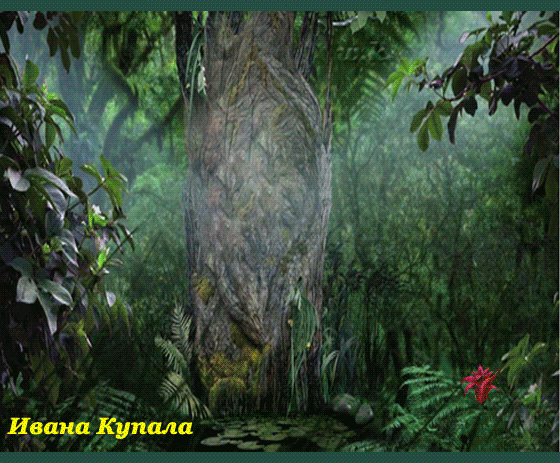 Праздник Ивана Купалы. День Ивана Купалы
