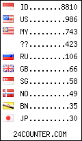 visitors by country counter