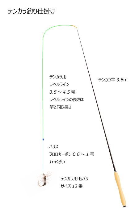 ヤマメの釣り方 淡水域の魚の釣り方